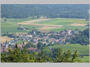 20200701 06 Berg_am_Irchel.jpg